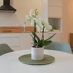 At No Camino Apartmán *